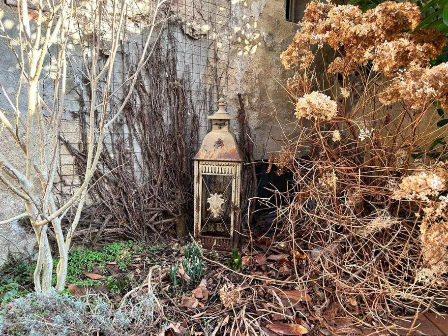 Maisonette-Fewo Fritz Mit Infrarotsauna Grossschonau Bagian luar foto